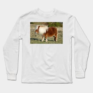 Dartmoor Pony Long Sleeve T-Shirt